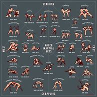 Image result for Cultivation Manual Martial Arts