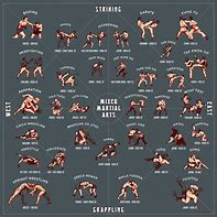 Image result for Styles of Karate