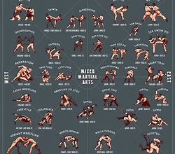 Image result for Types of MMA Fighting