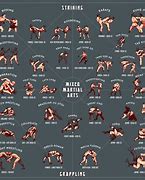 Image result for USA Fighting Style