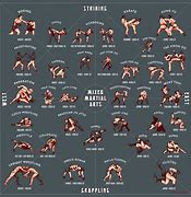 Image result for Fist Fighting Styles
