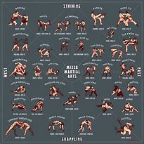 Image result for types of martial arts