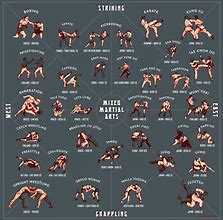 Image result for All Martial Arts Fighting Styles