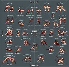 Image result for List of All Types of Martial Arts