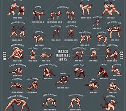 Image result for Fighter Fighting Styles