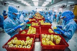 Image result for Agricultural Processing