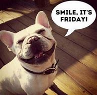 Image result for Funny TGIF Images