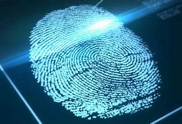 Image result for Fingerprint Phone Science