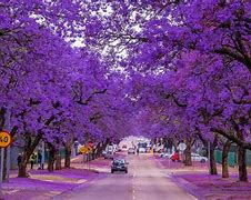 Image result for Beautiful City Street