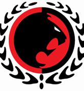Image result for Gracie Jiu Jitsu Black Belt Logo