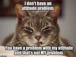 Image result for Attitude Cat Meme