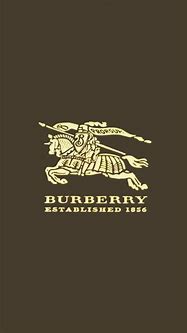 Image result for Burberry iPhone 8 Cases