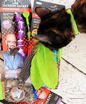 Image result for Jackson Galaxy Favorite Cat Toys