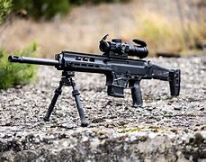 Image result for CZ Military Rifles