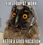 Image result for First Day Back After Vacation Meme