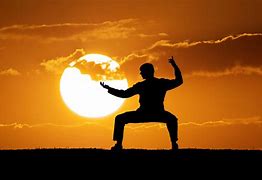 Image result for Lifestyle Tai Chi