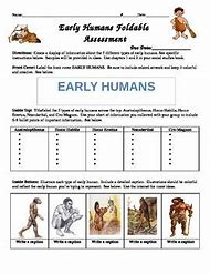 Image result for Human Evolution Worksheet