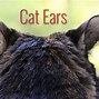 Image result for Actual Cat Ears