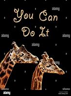 Image result for You Can Do It Animal Meme