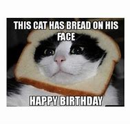 Image result for Pizza Cat Birthday Meme