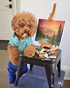 Image result for Bob Ross Pets