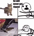 Image result for Roblox Funny Cat Memes