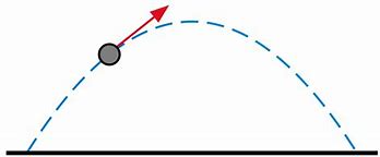 Trajectory 的图像结果