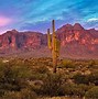 Image result for Arizona-Sonora Desert