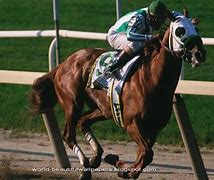 Image result for Horse Racing Wallpaper