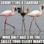 Image result for Hire the Professional Meme