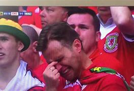 Image result for Miserable Wales Fans