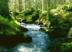 Image result for 4K Scenery GIF