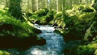 Image result for Natural Environment Wallpaper