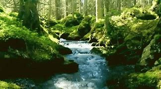 Image result for Angry Mother Nature GIF