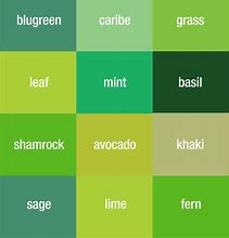 Image result for Different Color Meanings