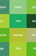 Image result for Different Colors for Kids