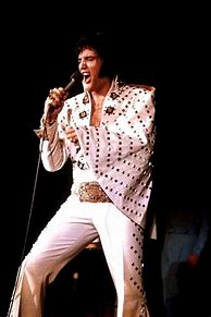 Image result for Elvis Performing