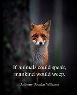 Image result for Animal Connection Quotes
