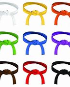 Image result for Karate Belts All Colors