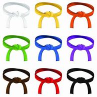 Image result for Taekwondo Belt Order