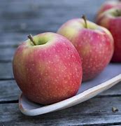 Image result for Organic Apple Signs