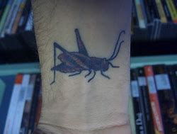 Image result for Tattoo Ideas for Cricket