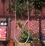 Image result for Porch Swing Heavy Duty Chain