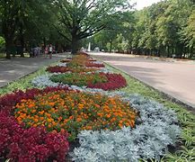 Image result for Chechnya Park