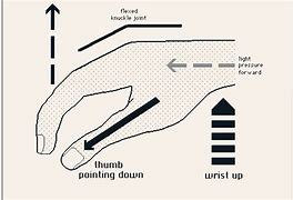 Image result for Typing Wrist Position