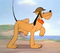Image result for Disney Pluto Private