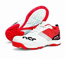 Image result for DSC Shoes Cricket