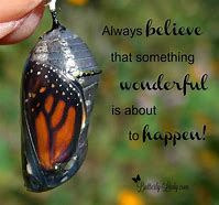 Image result for Butterfly Quotes Funny