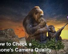 Image result for iPhone 5 Camera Quality