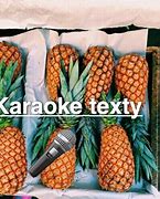 Image result for Karaoke Texty
